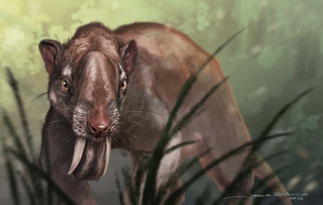 An illustration of the marsupial saber-tooth Thylacosmilus.