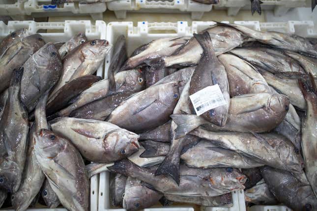 FILE - Fish is displayed for merchants inside the main port in Dakhla city, Western Sahara, Monday, Dec. 21, 2020. A legal adviser to the European Union’s top court has recommended that it annul Europe&#39;s fishing agreement with Morocco, which would have allowed European boats to fish for valuable catch off the coast of the disputed Western Sahara. (AP Photo/Mosa&#39;ab Elshamy, File)