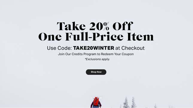 20% Off One Full-Price Item | Backcountry | Promo code TAKE20WINTER