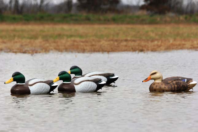 Extreme Mallard Decoys 3 Pack | $31 | Walmart