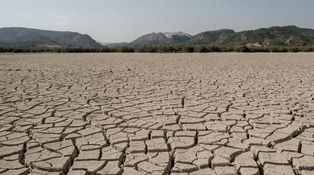 Dried cracked mud is seen at the Valdeinfierno Reservoir in Zarcilla de Ramos, Spain.