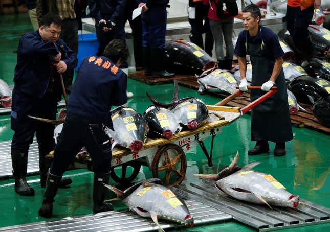 Toyosu fish market
