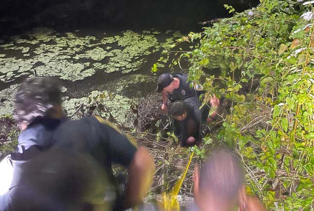 Image for article titled Corvette thief hides in swamp after wrecking stolen C7 during 100 mph police chase