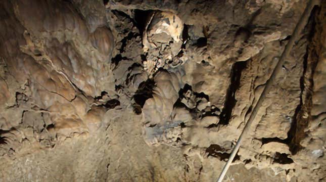 The skull as it was found inside the cave shaft. 