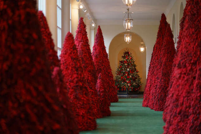 Image for article titled A Man Coughed Up Melania's Christmas Tree