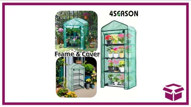 Satisfy Your Green Thumb With 86% off.this Versatile Mini Greenhouse at Temu
