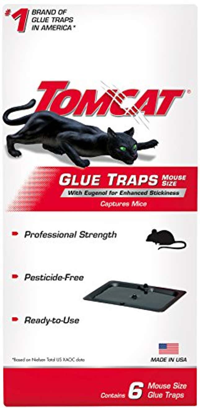 Image for article titled Tomcat Glue Traps Mouse Size with Eugenol for Enhanced Stickiness for Mice, Now 16% Off