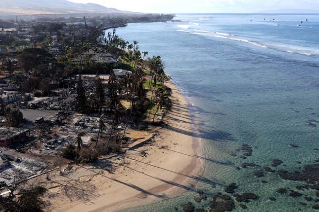  In an aerial view, homes and businesses are seen that were destroyed by a wildfire on August 11, 2023 in Lahaina, Hawaii. 