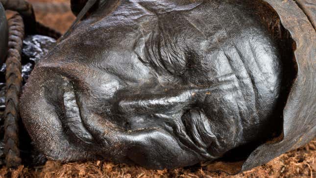 The incredibly well-preserved head of Tollund Man.