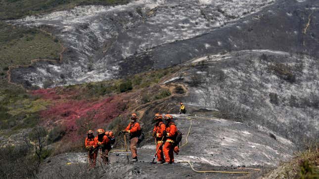 A California Dept. of Corrections fire crew stands on a ridge while fighting the Coastal Fire Thursday, May 12, 2022, in Laguna Niguel, Calif.