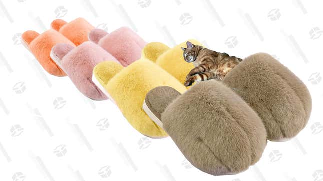 Ckoebas Cat Paw Slippers | $13 | Amazon | Promo Code 1CKOEBAS