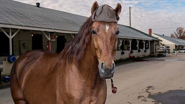 Mysterious Deaths At Churchill Downs Investigated By World-Renowned ...