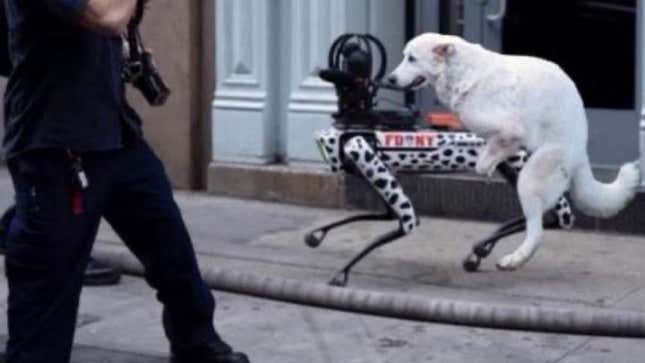 Image for article titled Viral Photo of Dog Humping a Robot Dog Is Sadly Fake