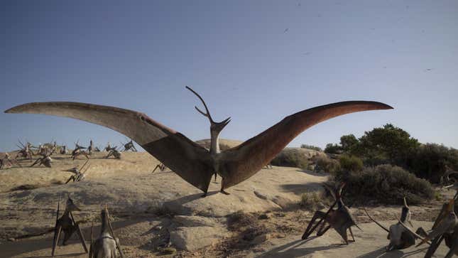 A large, crested pterosaur in a mating display, wings spread wide.