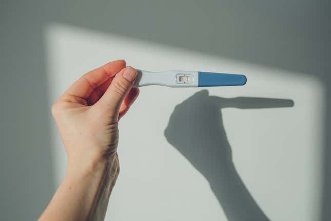 Image for article titled How Crisis Pregnancy Centers Help Anti-Abortion Legislatures