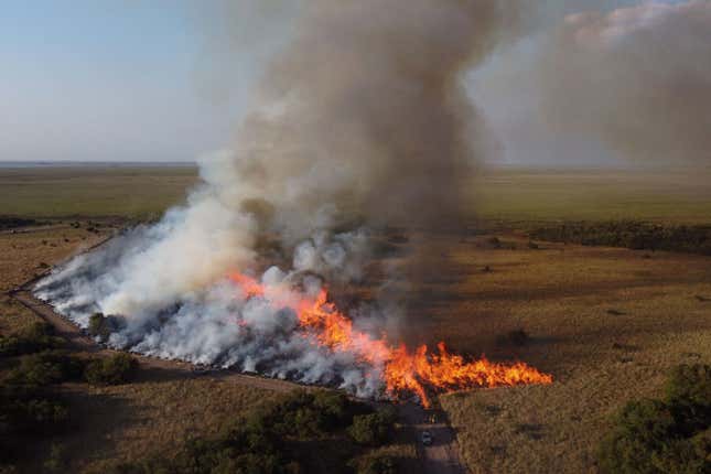 In this aerial view firefighters burn a field to fight wildfires (R) of the native forest at Paraje Uguay, Corrientes, Argentina.