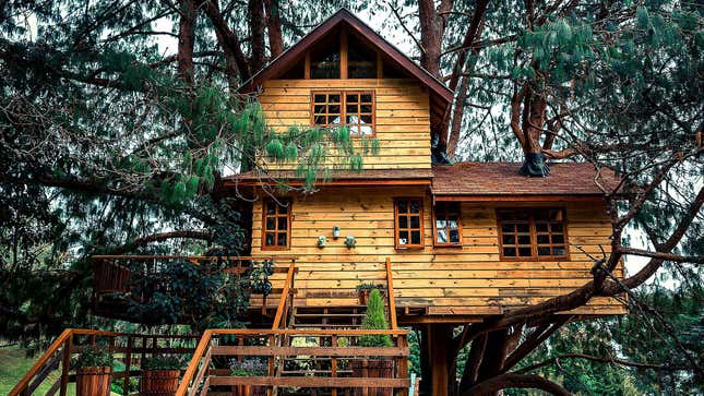 Image for article titled Wealthy Dad Surprises Child With Tree House He Can Airbnb For Passive Income