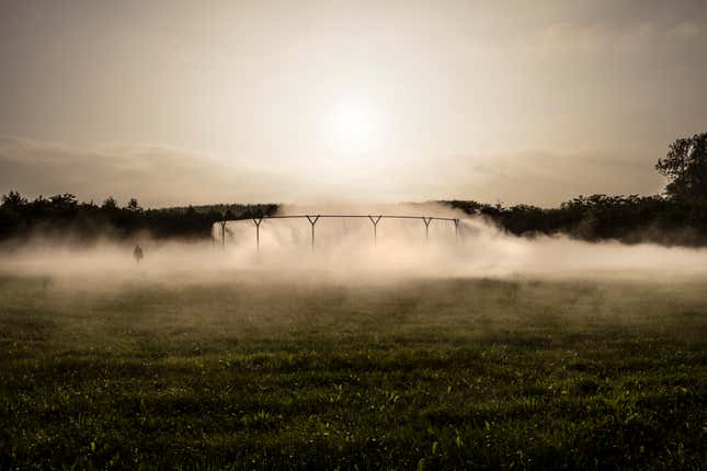 Anders Sune Berg/Courtesy of Studio Olafur Eliasson