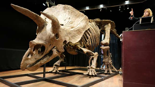 Auction officer Violette Stcherbatcheff gestures next to the world’s biggest triceratops skeleton, during its auction on Oct. 21, 2021 in Paris, France.