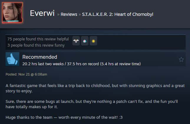 A screenshot shows a Steam user review for Stalker 2.