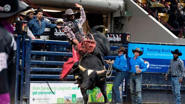 A black cowboy hangs onto a bull during the 2019 MLK Jr. African American Heritage Rodeo.