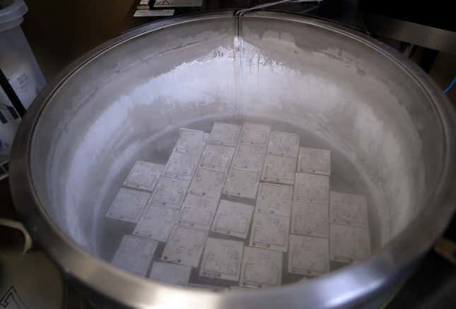 Image for article titled Fertility Clinic Patients Awarded $15 Million After Facility Accidentally Thawed 3,500 Eggs and Embryos