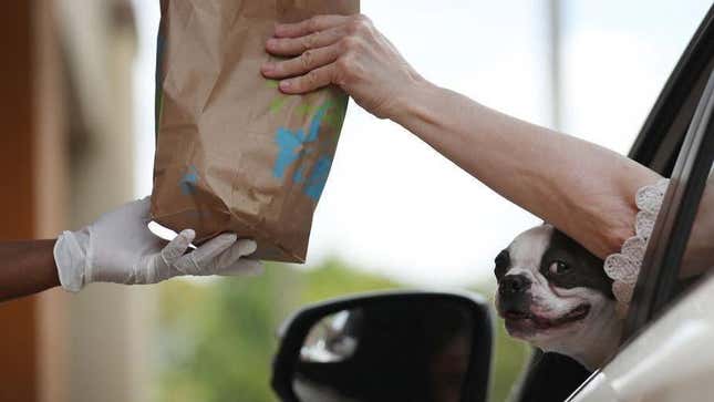 Dog peeking out of driver's side window in drive-thru