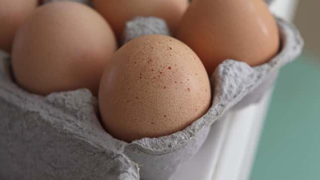 Eggs tend to be a common source of Salmonella outbreaks, though many foods and animals can spread it as well. 