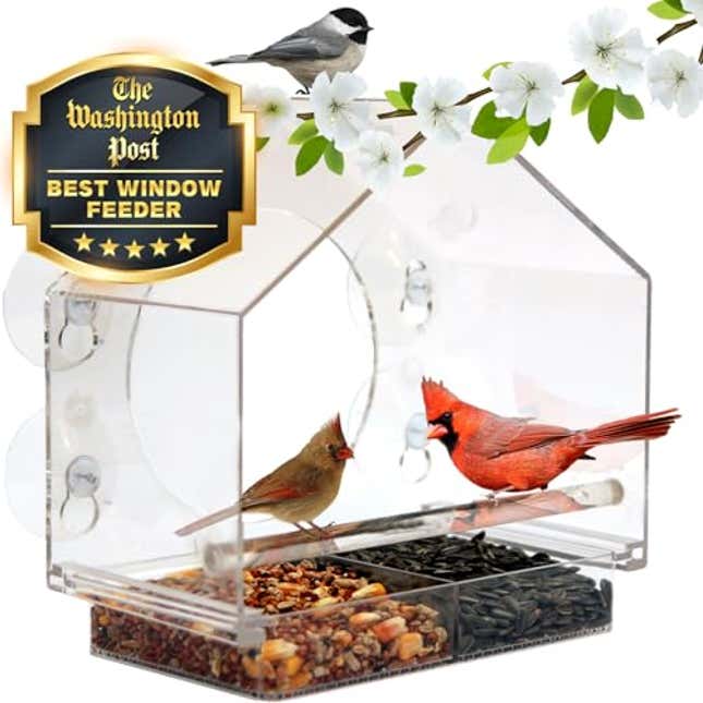 Image for article titled Nature Anywhere Transparent Acrylic Window Bird Feeders for Outdoors, Now 24% Off