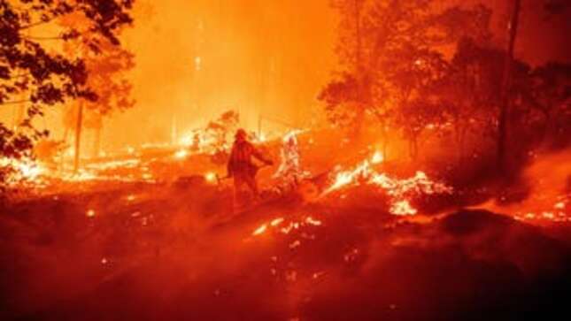 Couple Who Allegedly Started a Deadly Wildfire With Their Gender Reveal Party Now Facing a Jail Reveal Party