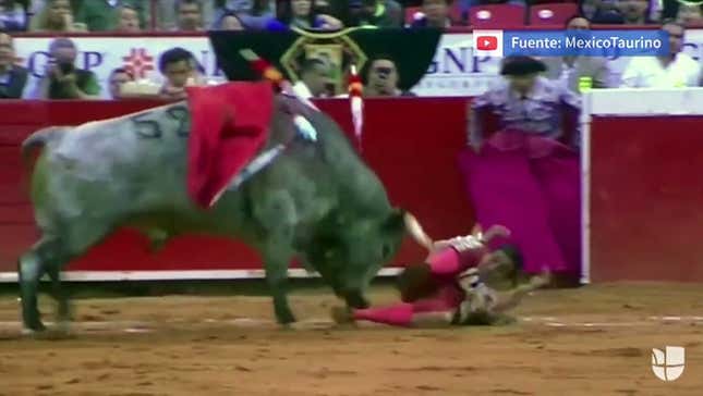Bullfighter Gets Gored In The Rectum