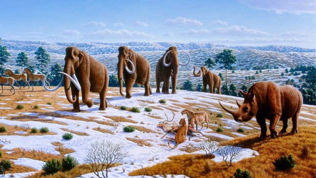 Woolly mammoths, rhinoceroses, horses, and cave lions roamed during the Pleistocene Epoch.