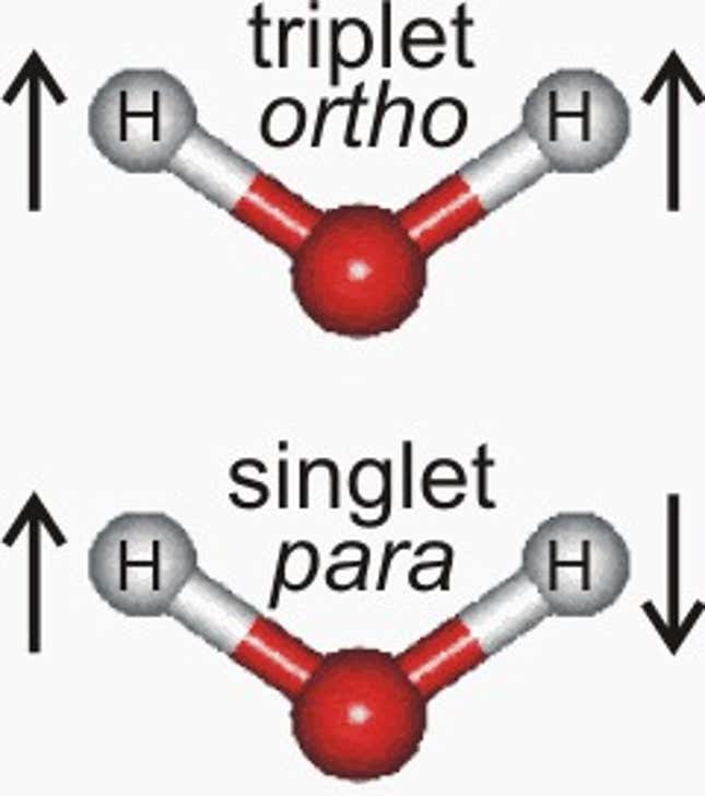 Image for article titled There are two types of water, and a new study finds they behave differently