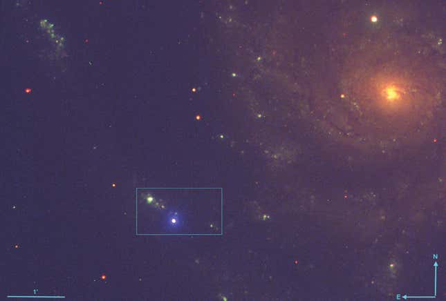 Süpernovayı (parlak mavi) gösteren, Liverpool Teleskobu ile çekilmiş kompozit bir görüntü.
