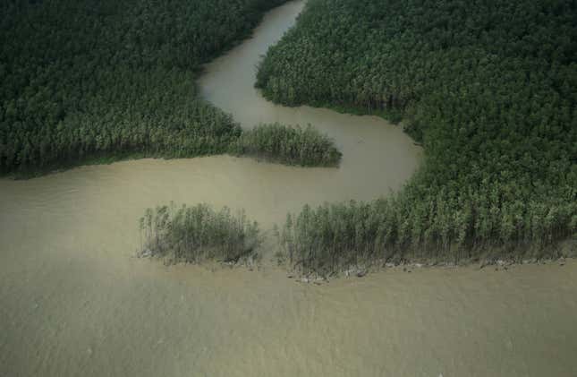 Where the Amazon River meets the Atlantic Ocean, in the Northern Brazilian state of Amapa.