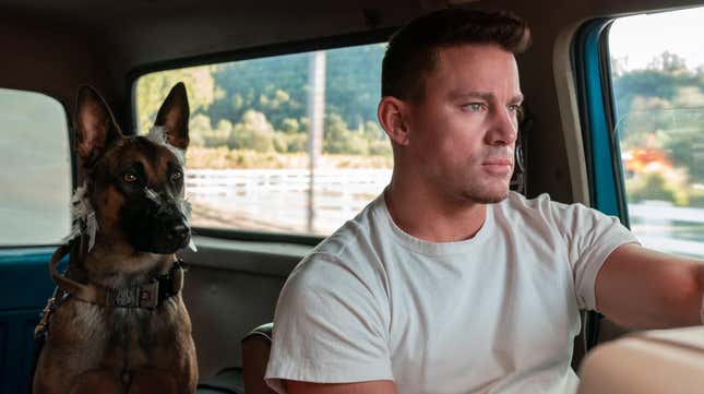 Channing Tatum in Dog