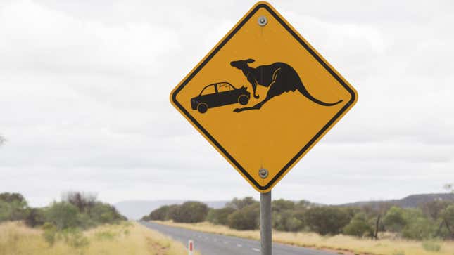 A photo of a kangaroo warning sign in Australia. 