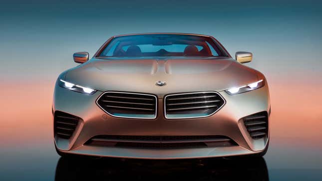 Front end of the BMW Concept Skytop