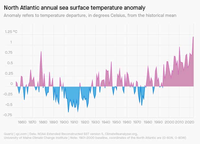 The North Atlantic's annual standard deviation of sea surface temperature shows annual warming every year since the early 1990s.