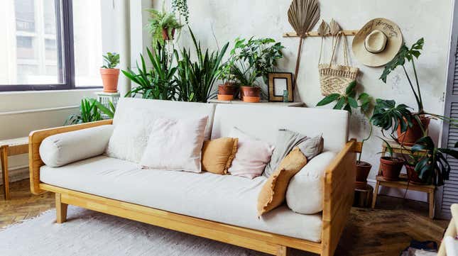 Living room with plants 