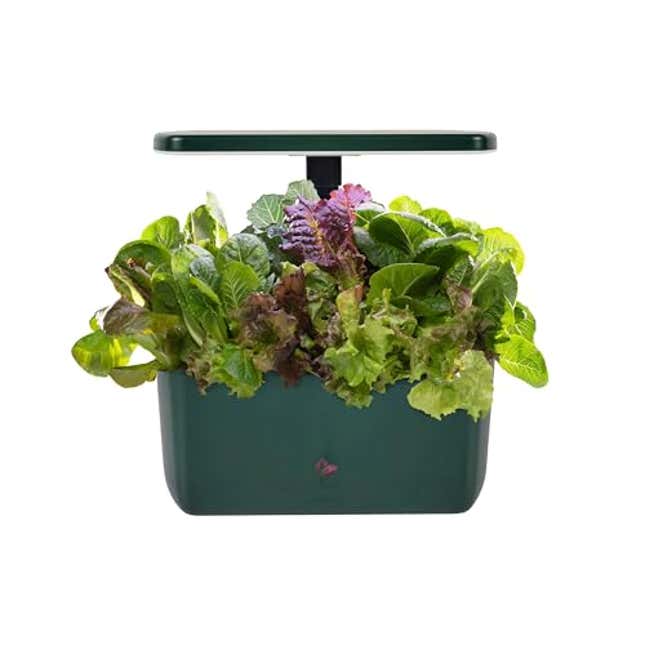 Image for article titled Revolutionize Your Home Gardening with AeroGarden Harvest 2.0, 22% Off For Prime Day