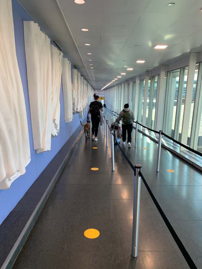 These yellow dots on the floor are the most visible indicator at JFK that there is pandemic going on.