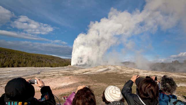 It’s Old Faithful, but you get it.