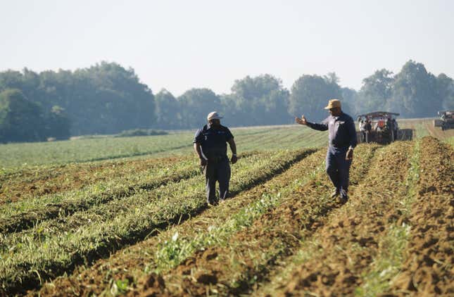 Image de l'article intitulé Les agriculteurs noirs et issus de minorités reçoivent d’énormes sommes d’argent en raison de la discrimination de l’USDA