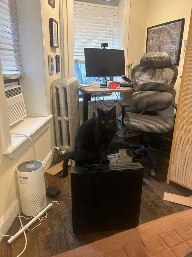 A cat sits on top of a computer tower.