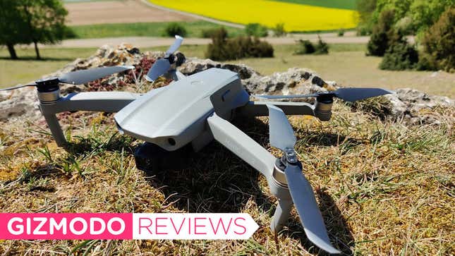 Image for article titled The Mavic Air 2 Is Definitely the Drone I Was Looking For