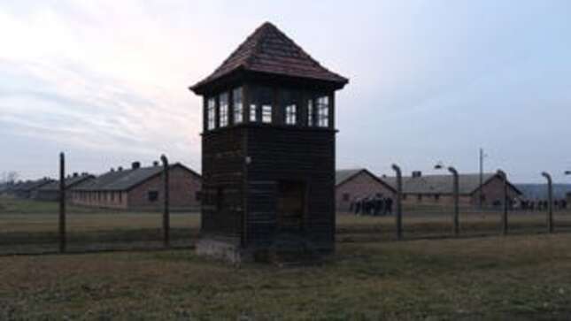 The Auschwitz Memorial Would Like TikTokers to Stop Roleplaying Holocaust Victims, Please