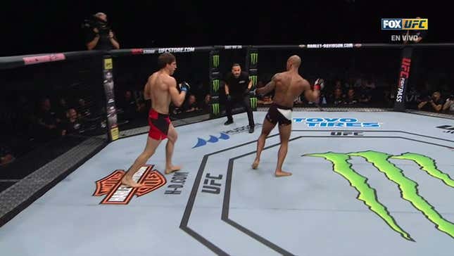 Devastating Punch Leaves Fighter Stumbling Around "Like A Freshly Born Horse"