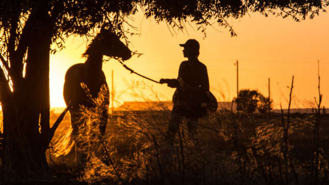 Image for article titled The best films of 2018