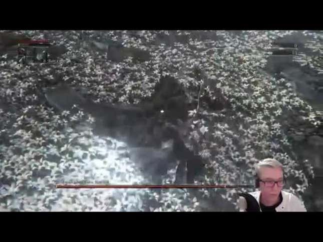 Guy Beats <i>Bloodborne</i> Without Healing